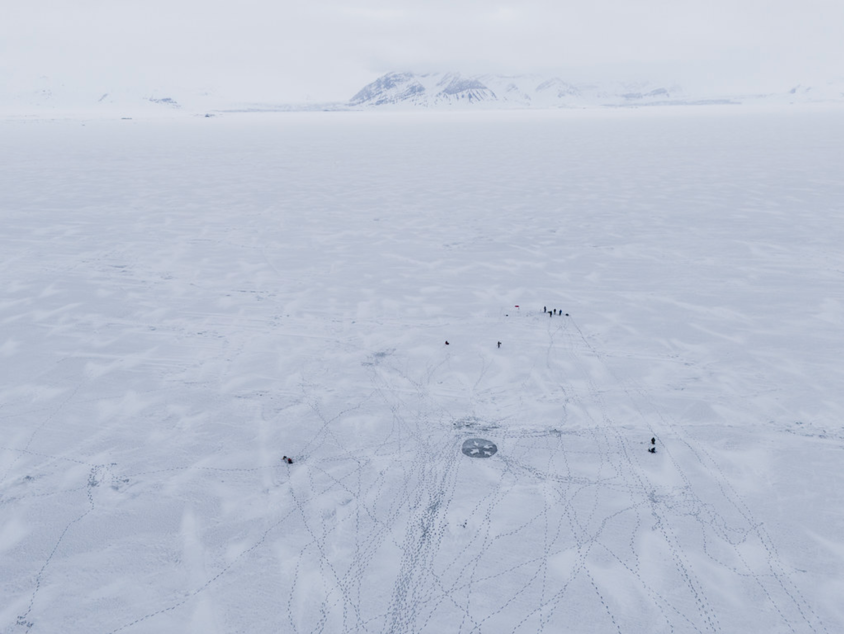 Polar Direction